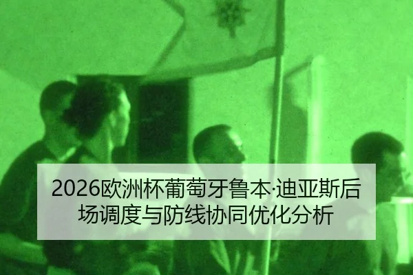 ou-zhou-bei-pu-tao-ya-lu-ben-di-ya-si-hou-chang-diao-du-yu-fang-xian-xie-tong-you-hua-fen-xi-1-467.jpg